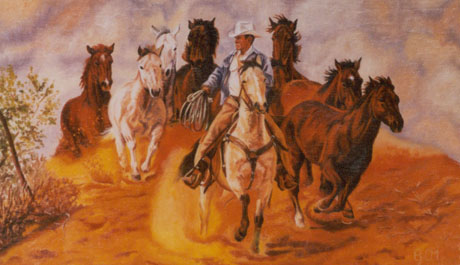 Kovboj se stádem koní